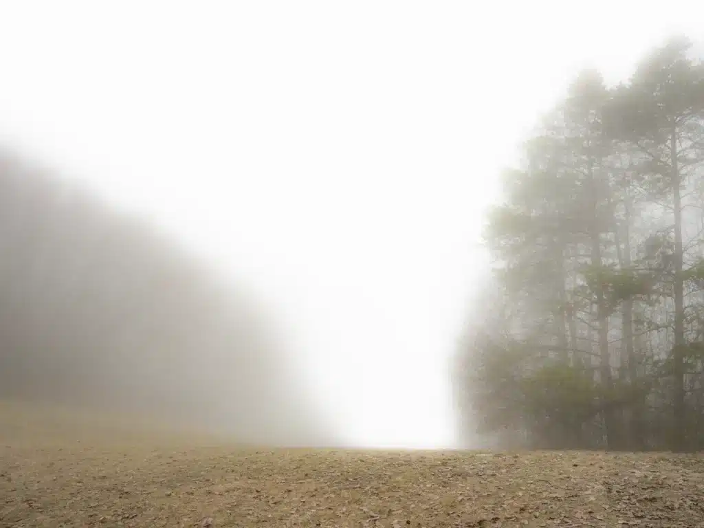 “Untitled _00375” 2023 – giclèè print on Canson Baryta Prestige / fotografia su carta Canson Baryta Prestige – cm 58 x 87