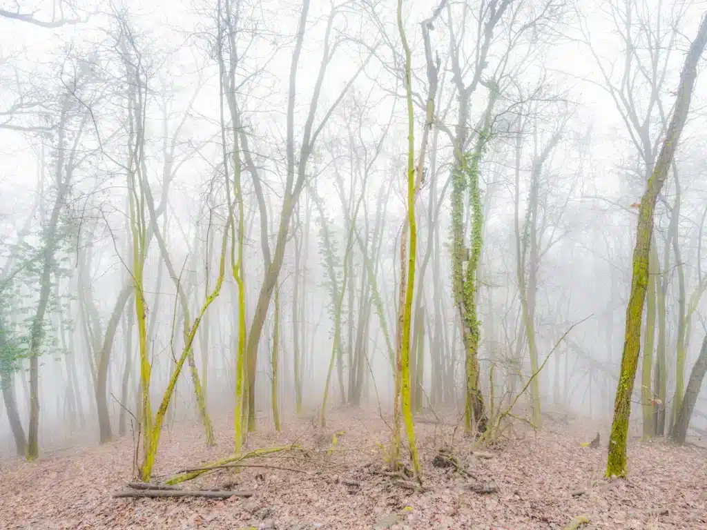 “Untitled _00394” 2023 – giclèè print on Canson Baryta Prestige / fotografia su carta Canson Baryta Prestige – cm 58 x 87