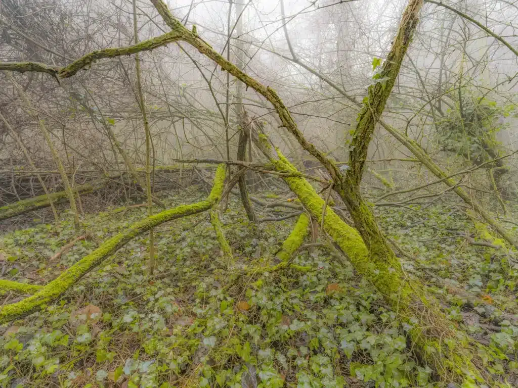 “Untitled _ 00272” 2023 – giclèè print on Canson Baryta Prestige / fotografia su carta Canson Baryta Prestige – cm 58 x 87