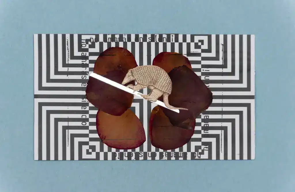 No Amaràs en silencio ( fragmentos) 2019 , petali di rosa su labirinto di carta /rose petals on paper labyrinth – cm 15 x 21