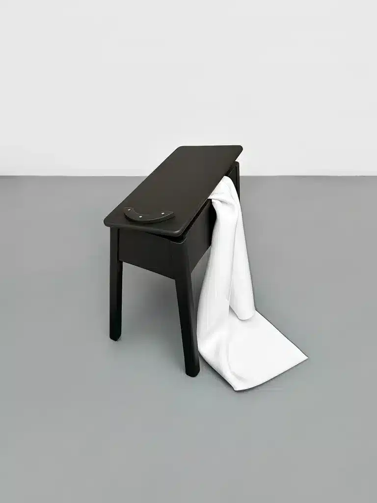 “Senza titolo”, 2024 (omaggio a Louis Daquerre) Polystyrene thermoforming, wood and enamel / termoformatura in polistirene, legno e smalto – cm. 41 x 45 x 37.5