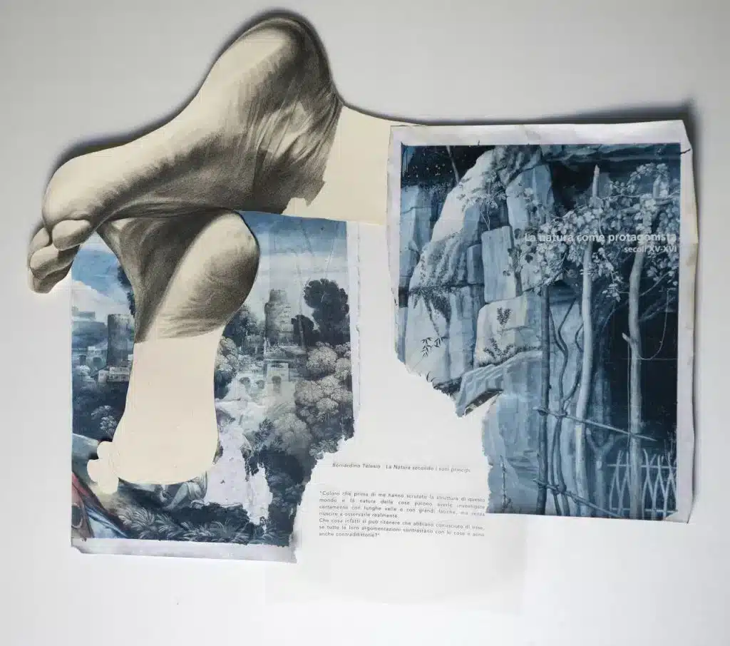 “La natura come protagonista” 2017, Mixed media on paper / Tecnica mista su carta – cm 46 x 53