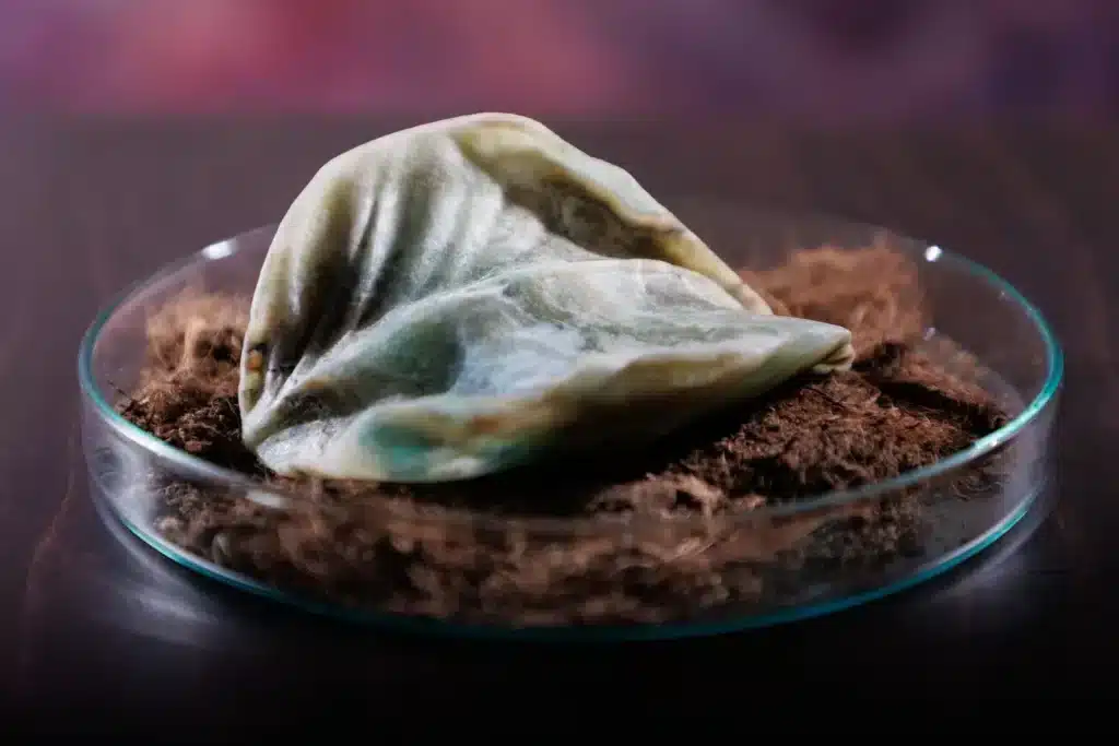 “Indomita Purezza I” 2025, green onix, glass and soil / Onice verde, vetro e terriccio, cm. 11 x 7 x 1.6