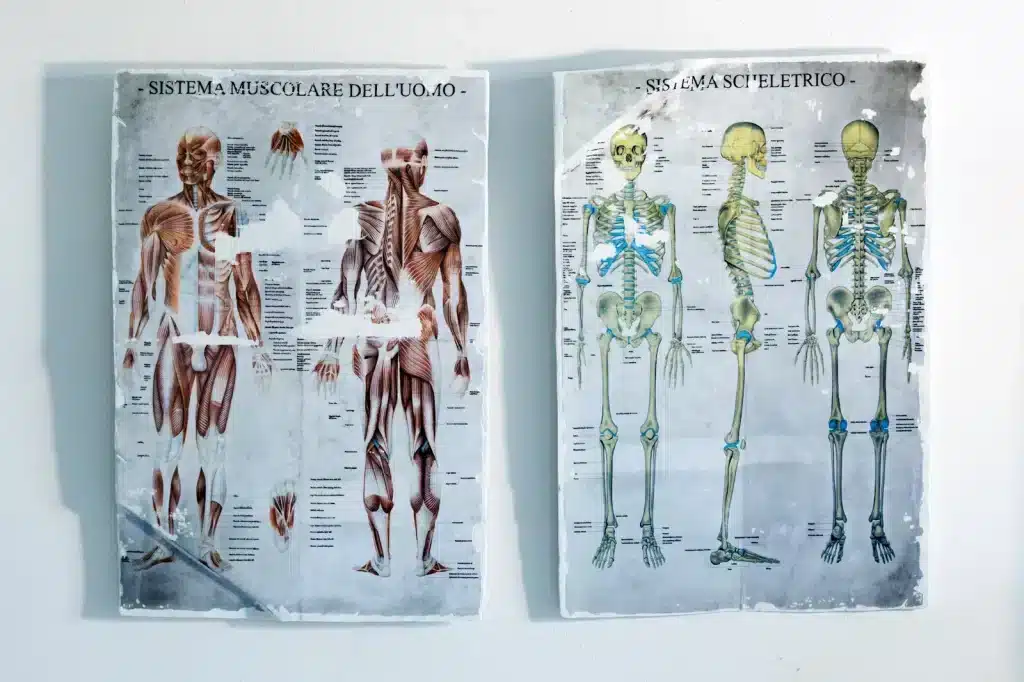 “Poster di Anatomia” 2023 – Carrara marble, Ink, golden silver / Marmo Carrara, inchiostri, foglia argento – cm. 58 x 40 x 1 (each)