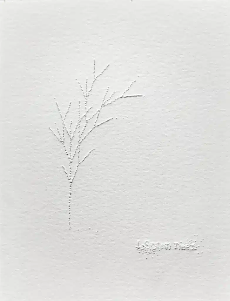 “Fractals. L. System tree. 1” 2025 , carta cotone forata, legno e vetro / perforated cotton paper, wood and glass – cm 29 x 23 x 4