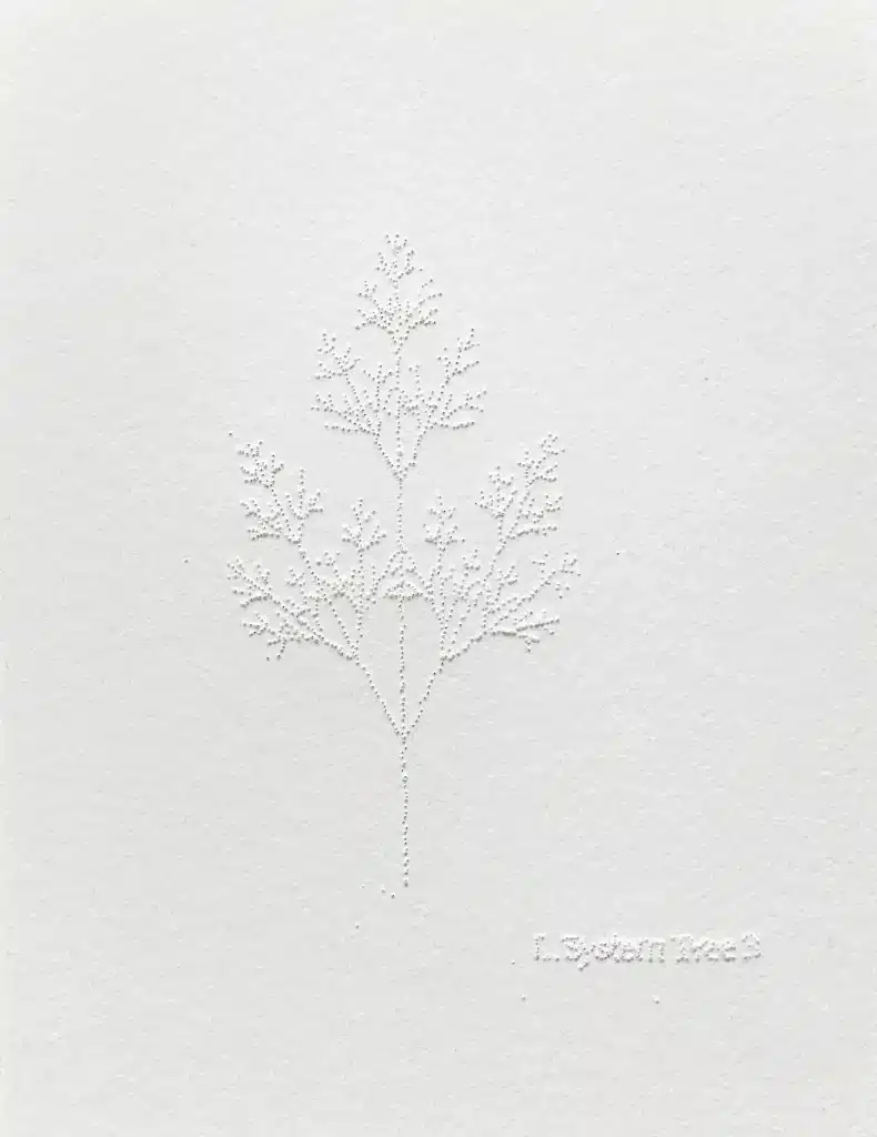 “Fractals. L.System tree. 3”2025, carta cotone forata, legno e vetro / perforated cotton paper, wood and glass – cm. 29 x 23 x 4