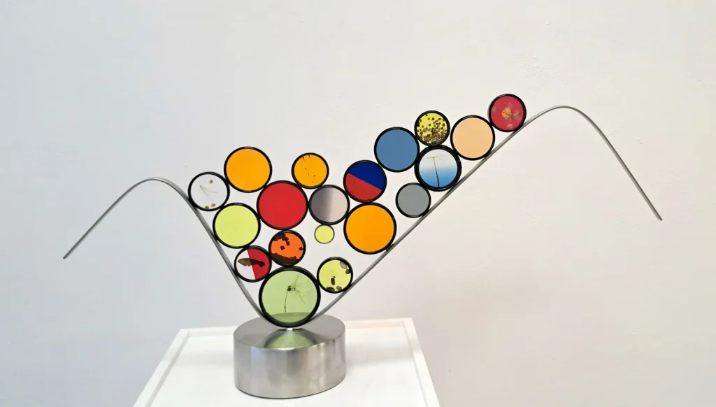 “Looking. Semi” 2025, filtri fotografici con elementi vegetali e acciaio / photographic filters with plant elements and steel – cm. 40 x 83 x 17