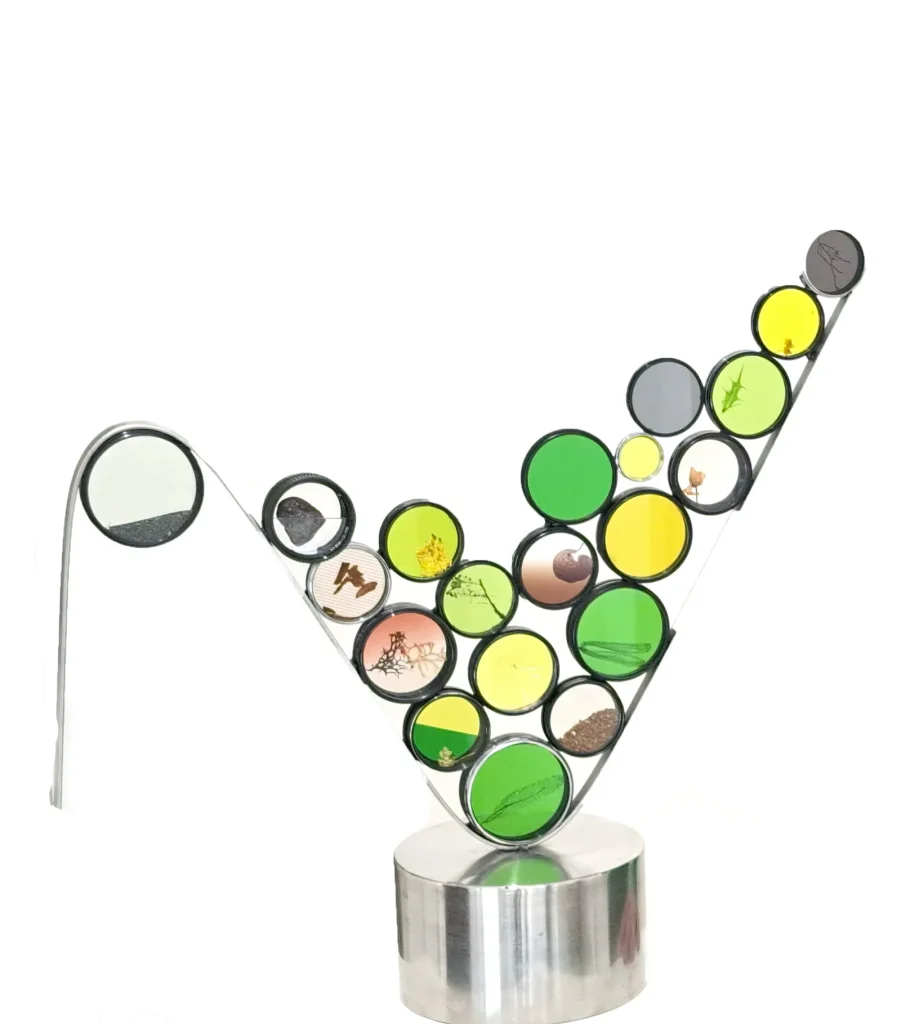 “Looking Terra” 2025, filtri fotografici con elementi vegetali e acciaio / photographic filters with plant elements and steel – cm. 83 x 100 x 17