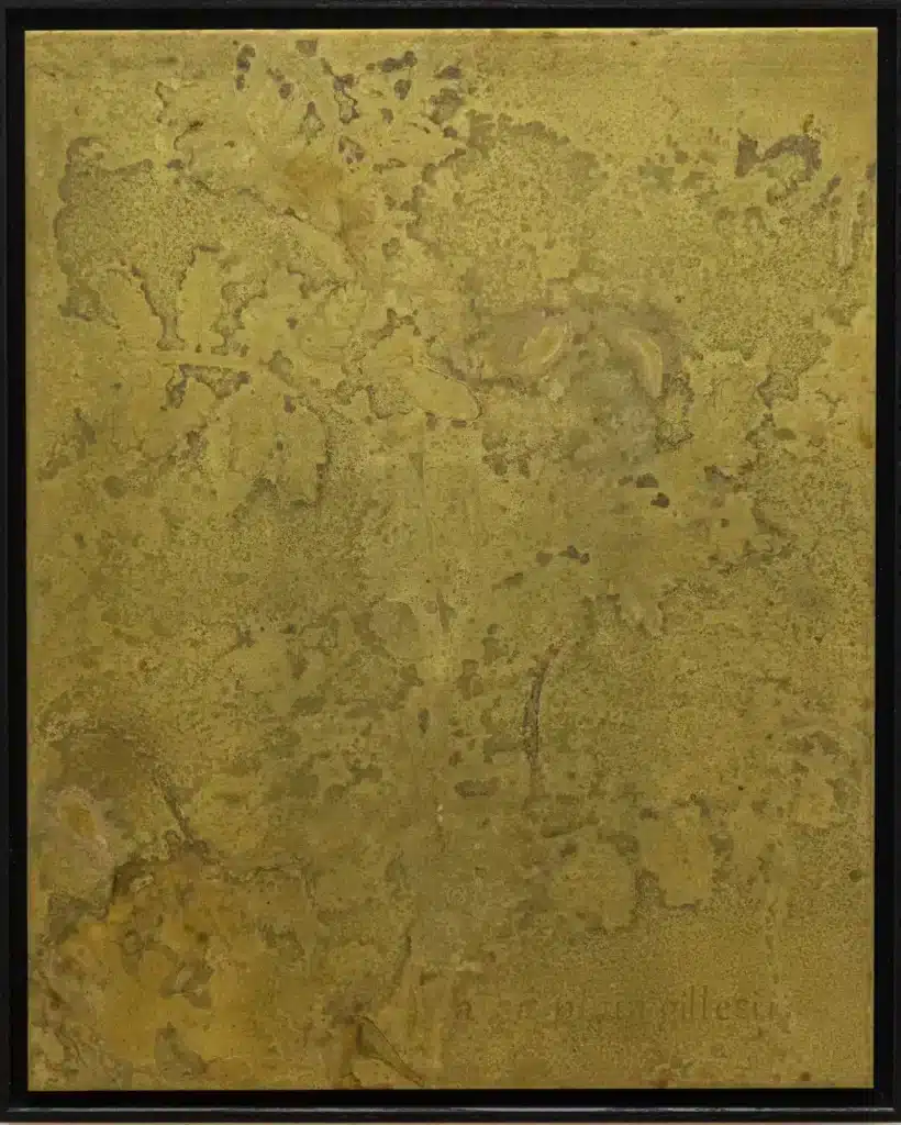 “Souls” 2024 – 2025, impronte vegetali su ottone e legno / plant imprints on brass and wood – cm. 53.5 x 43.5 x 4